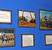 Town Hall Photographic Display - Kingaroy Accommodation