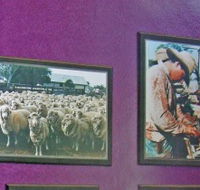Charleville Photographic Display - Kingaroy Accommodation
