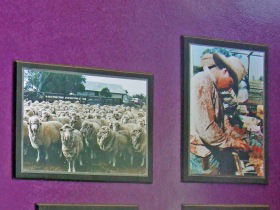 Charleville Photographic Display - Kingaroy Accommodation 0