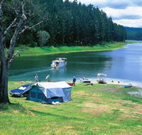 Danbulla National Park and Danbulla State Forest - Kingaroy Accommodation