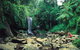 Tamborine National Park - thumb 0