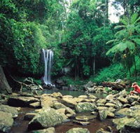 Tamborine National Park