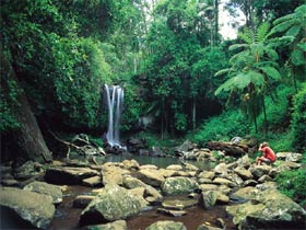 Tamborine National Park - Kingaroy Accommodation 0