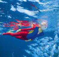 Outer Rocks Dive Site - Kingaroy Accommodation