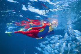 Outer Rocks Dive Site - Kingaroy Accommodation 0