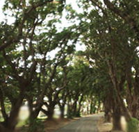 Mango Avenue - Kingaroy Accommodation