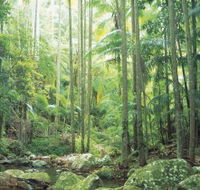Python Rock - Kingaroy Accommodation
