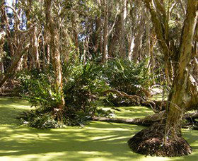 Arkarra Lagoons And Tea Gardens - Kingaroy Accommodation 0