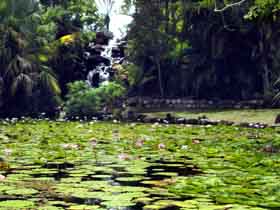 Queens Park Waterfall - Kingaroy Accommodation 0