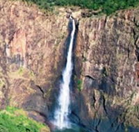 Buujan Quiinbiira Walk Wet Tropics Great Walk - Kingaroy Accommodation