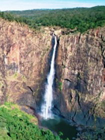 Gugigugi (Butterfly) Walk, Wet Tropics Great Walk - Kingaroy Accommodation 0