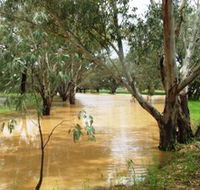 Saddliers Waterhole and Hamburg Creek - Kingaroy Accommodation