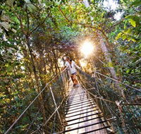 Tree Top Walkway - Kingaroy Accommodation
