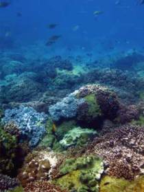 Hoffman's Rocks Dive Site - Kingaroy Accommodation 0