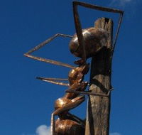 Augathella Meat Ant Park and Sculpture - Kingaroy Accommodation