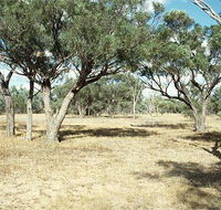 Forest Den National Park - Kingaroy Accommodation