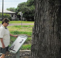 Augathella Kenniff Tree - Kingaroy Accommodation