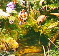 The Tombs Circuit - Kingaroy Accommodation