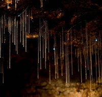 Cedar Creek Estate - Kingaroy Accommodation