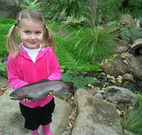 Wild Food Farm  Cafe - Kingaroy Accommodation