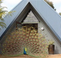 Halls Gap Zoo - Kingaroy Accommodation