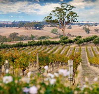 Redesdale Estate - Kingaroy Accommodation