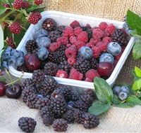 Bright Berry Farms - Kingaroy Accommodation