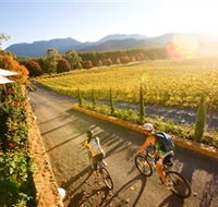 Boyntons Feathertop Winery - Kingaroy Accommodation