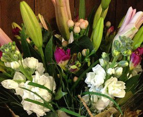 Alpine Blooms Florist Mansfield - Kingaroy Accommodation 0