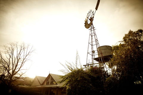 Brown Brothers Milawa Vineyard - Kingaroy Accommodation 1