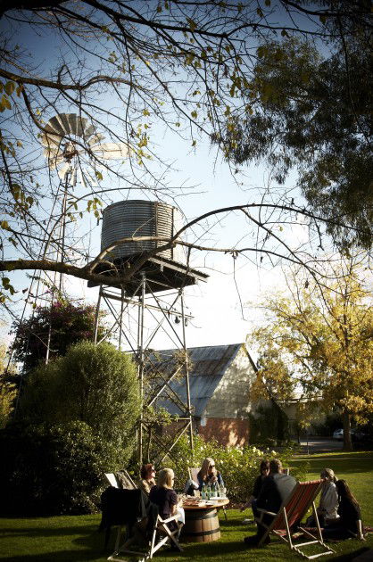 Brown Brothers Milawa Vineyard - Kingaroy Accommodation 5