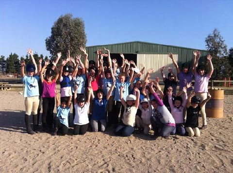 Saddle On Riding School - Kingaroy Accommodation 2