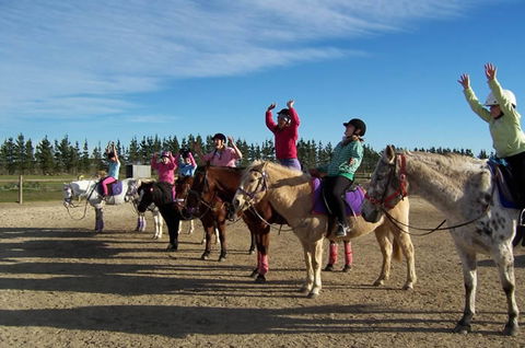 Saddle On Riding School - Kingaroy Accommodation 3