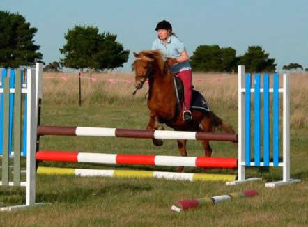 Saddle On Riding School - Kingaroy Accommodation 5