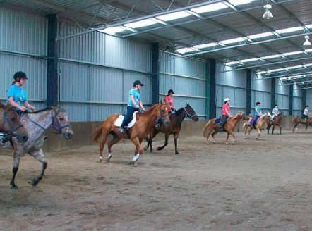 Saddle On Riding School - Kingaroy Accommodation 7