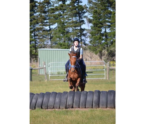 Saddle On Riding School - Kingaroy Accommodation 9