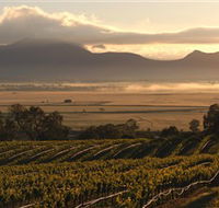 Montara Wines - Kingaroy Accommodation