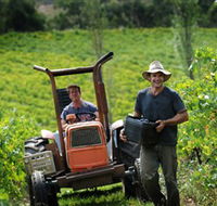 Kellybrook Winery  Kelly Brothers Cider - Kingaroy Accommodation