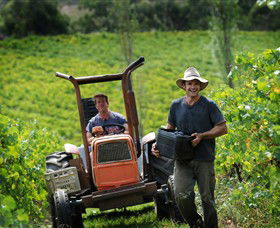 Kellybrook Winery & Kelly Brothers Cider - Kingaroy Accommodation 0