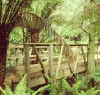 Mount Worth State Park - Kingaroy Accommodation