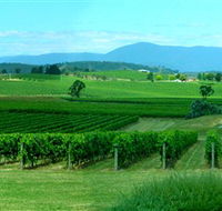 Acacia Ridge Vineyard - Kingaroy Accommodation