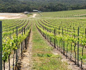 M Chapoutier Australia - Kingaroy Accommodation 0