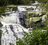 Agnes Falls Scenic Reserve - Kingaroy Accommodation