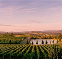 Oakridge Wines - Kingaroy Accommodation