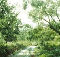 Holey Plains State Park - Kingaroy Accommodation