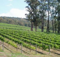 Piedmont Vineyard - Kingaroy Accommodation