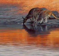 Steve Morvell Wildlife Art - Kingaroy Accommodation