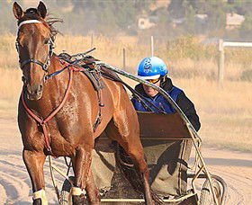 Ballarat & District Trotting Club - Kingaroy Accommodation 0