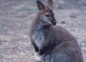 Churchill National Park - Kingaroy Accommodation 0