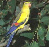 Lake Hindmarsh Reserve - Kingaroy Accommodation